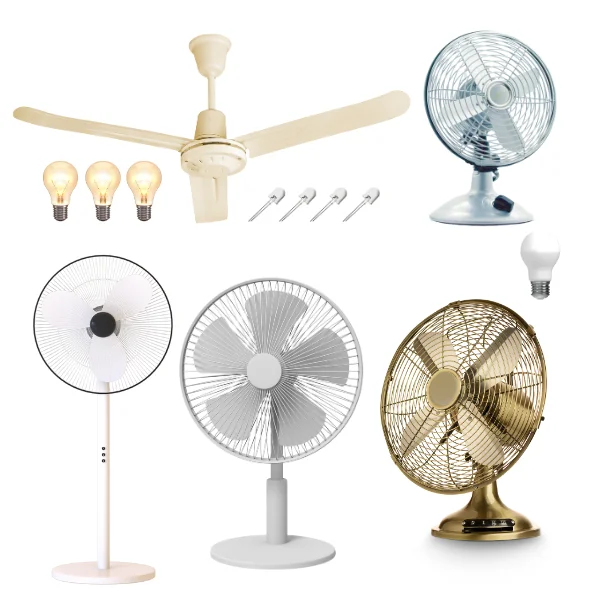 Lights & Fans