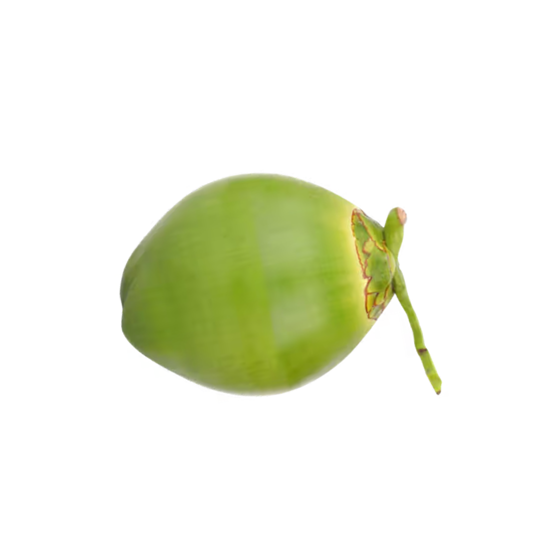 Tender Coconut (Daab) 1piece