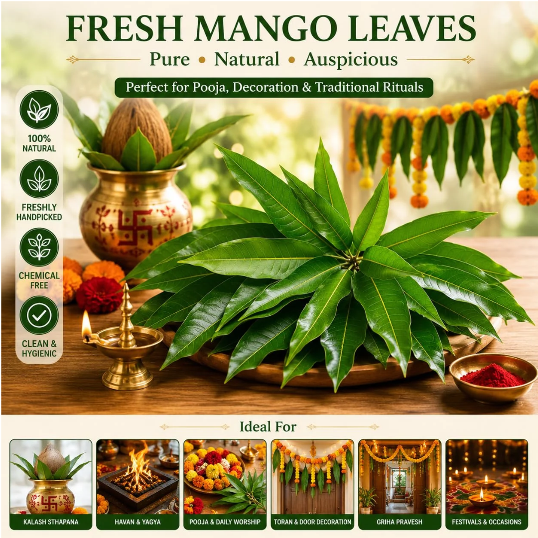 Mango leaves ( Aam pata) 1 Bunch