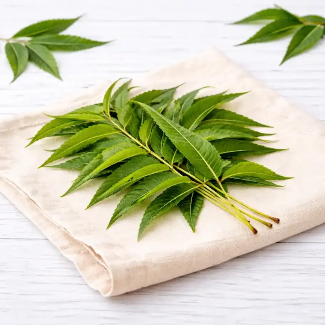 Neem Leaf (Neem Pata) 25gm