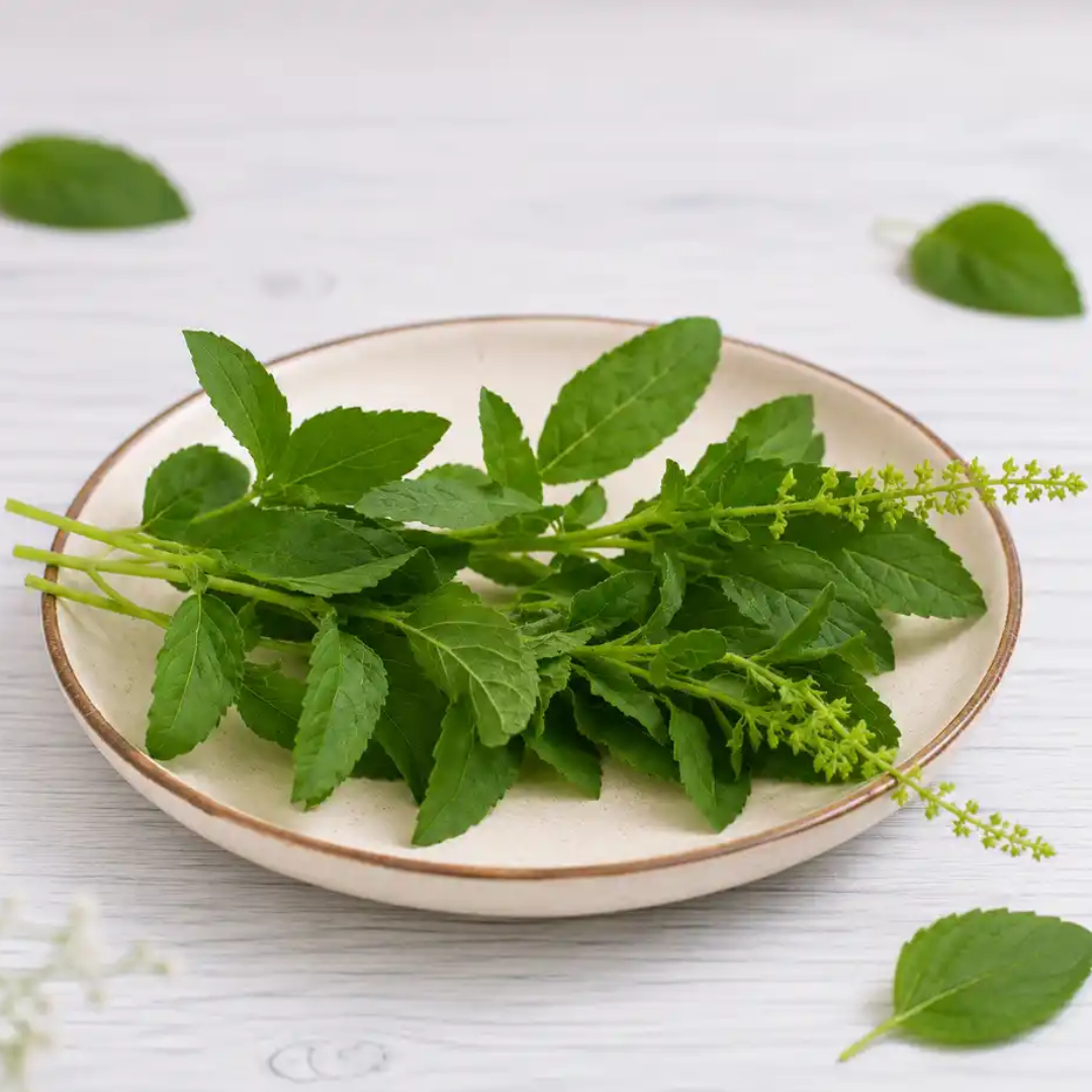 Tulsi Leaves ( Tulsi pata) 10gm