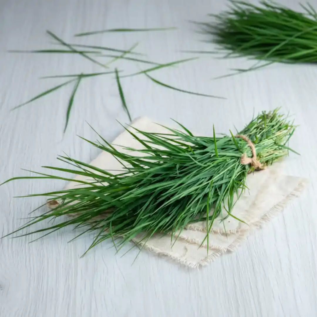 Durva Grass ( Durba ghash) 10gm