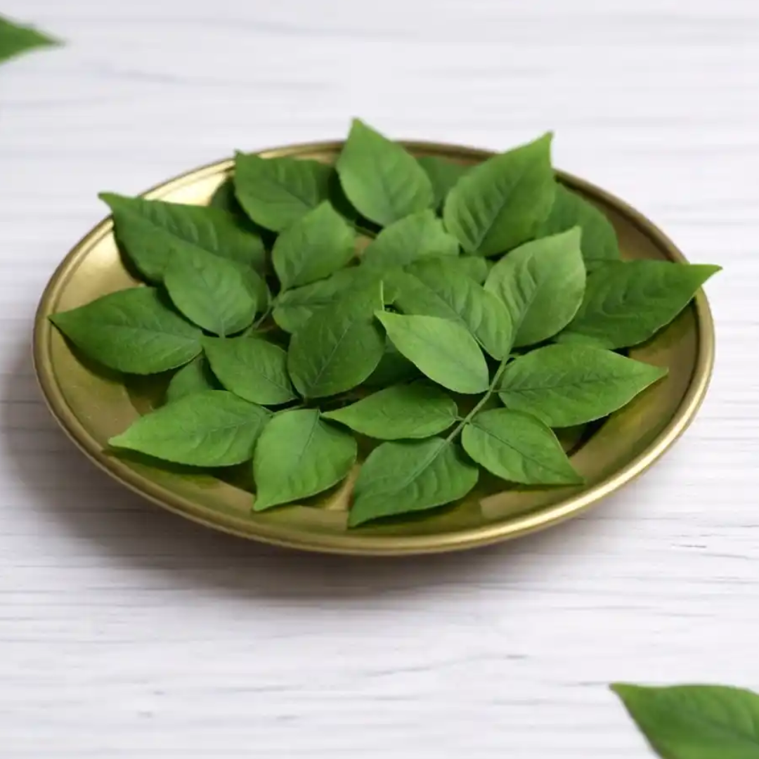 Bel Pata 20gm
