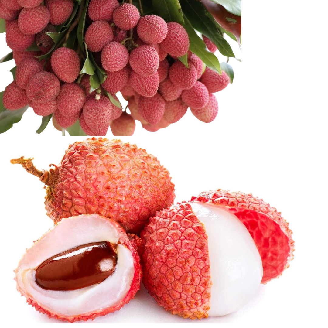 Litchi,  (Lichu) - Approx 500 g, 1 Pack