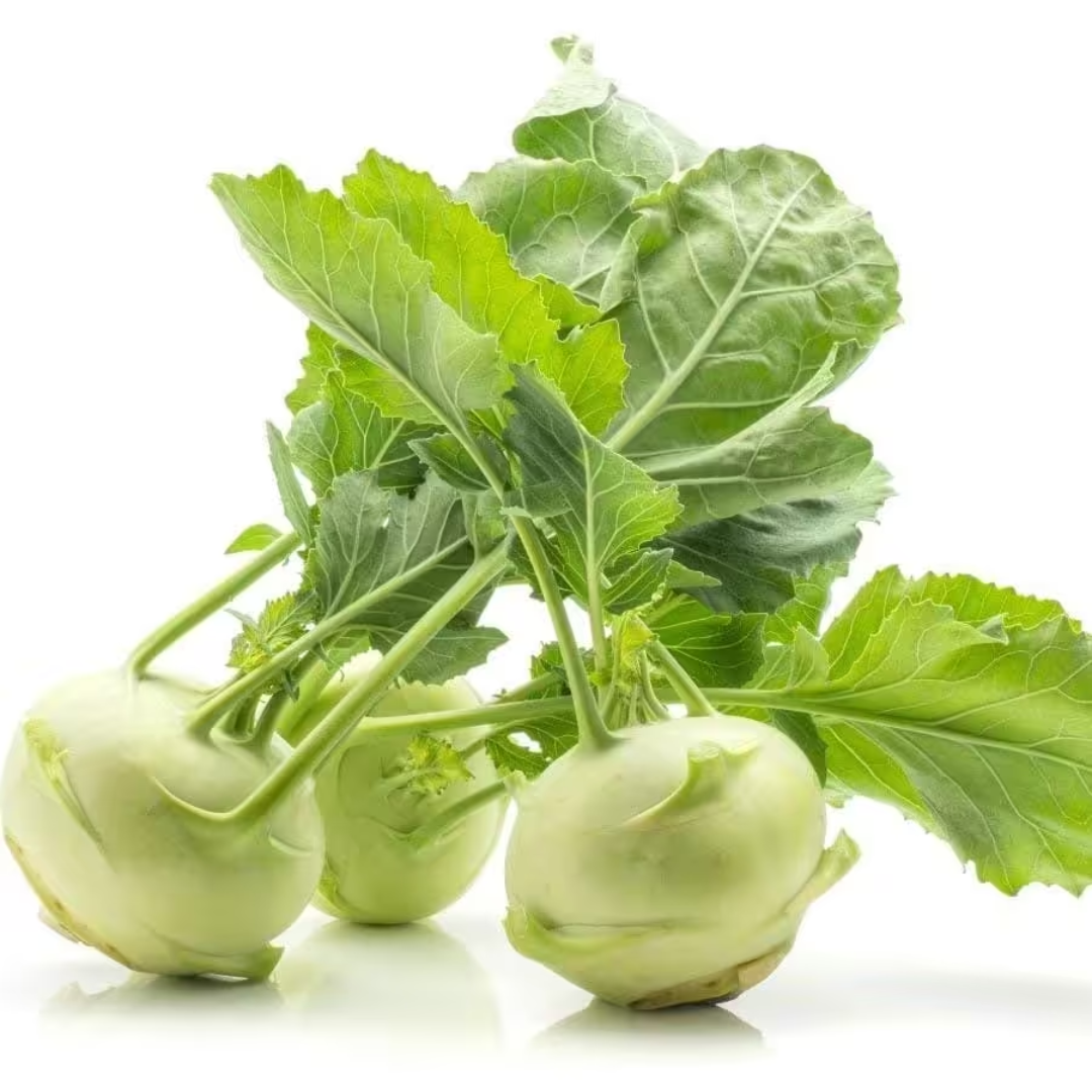 Knol Khol, (Olkapi), 500 g