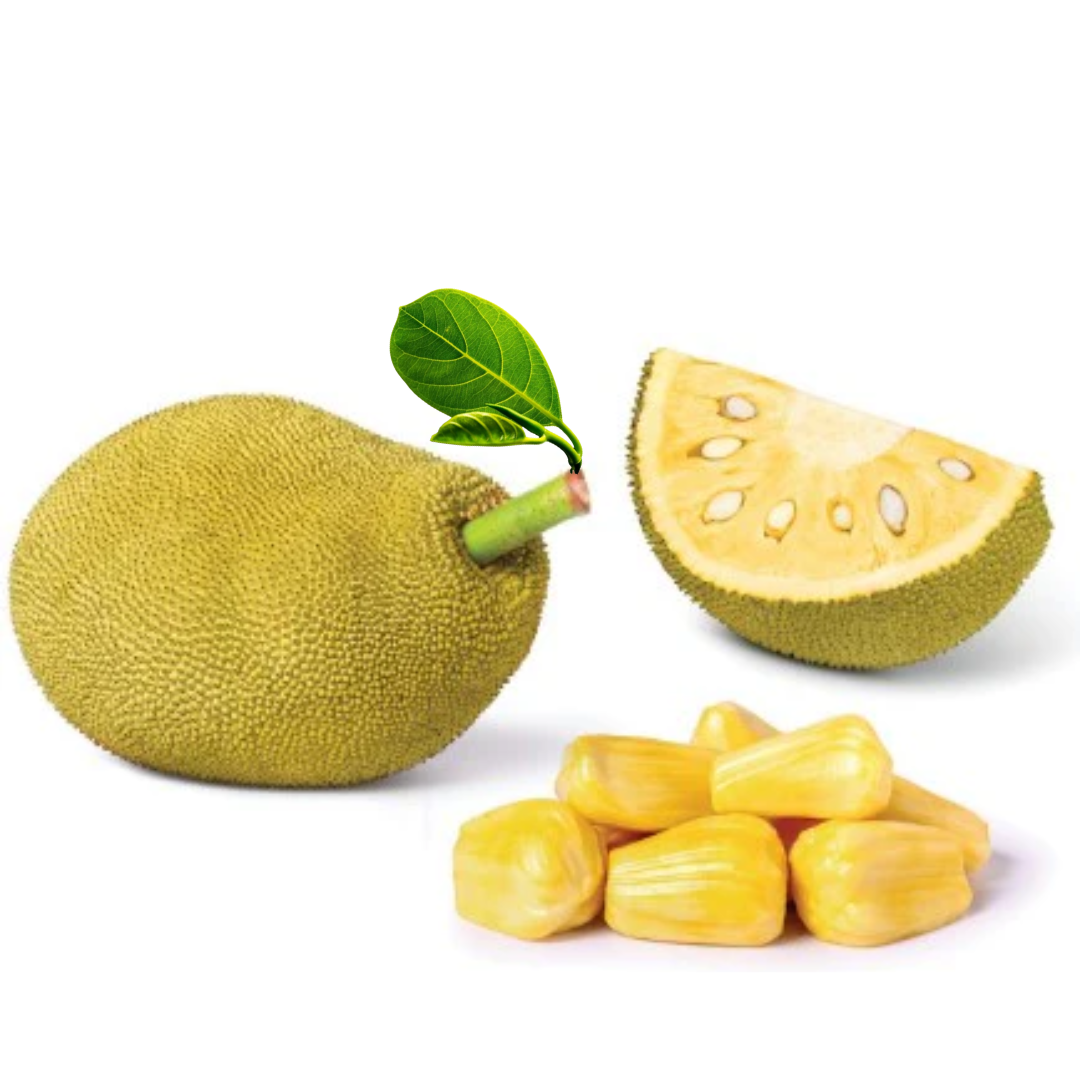 Jackfruit, (Paka Kathal) 1 Piece