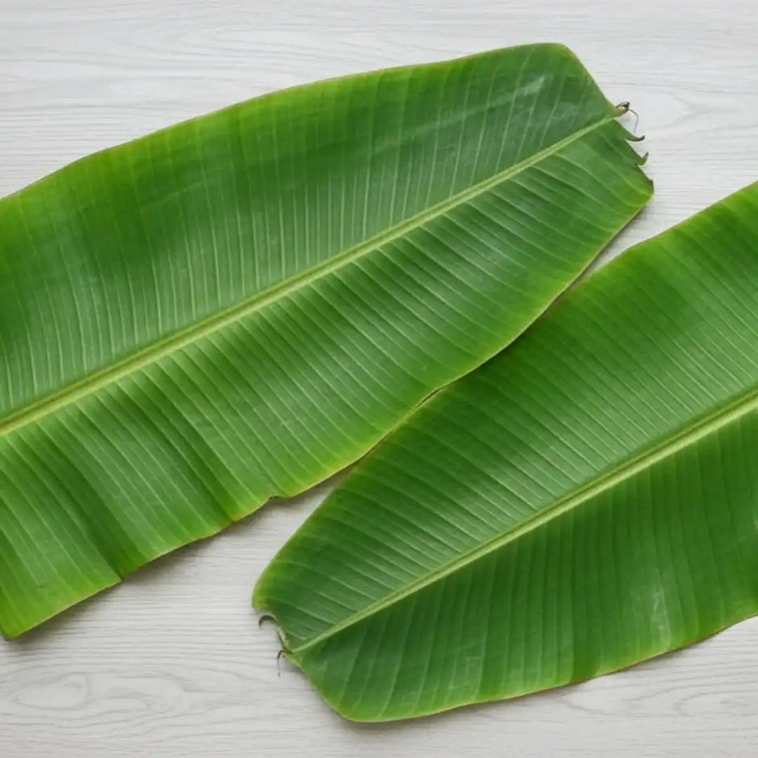 Banana Leaves ( kala pata) 2 Pieces