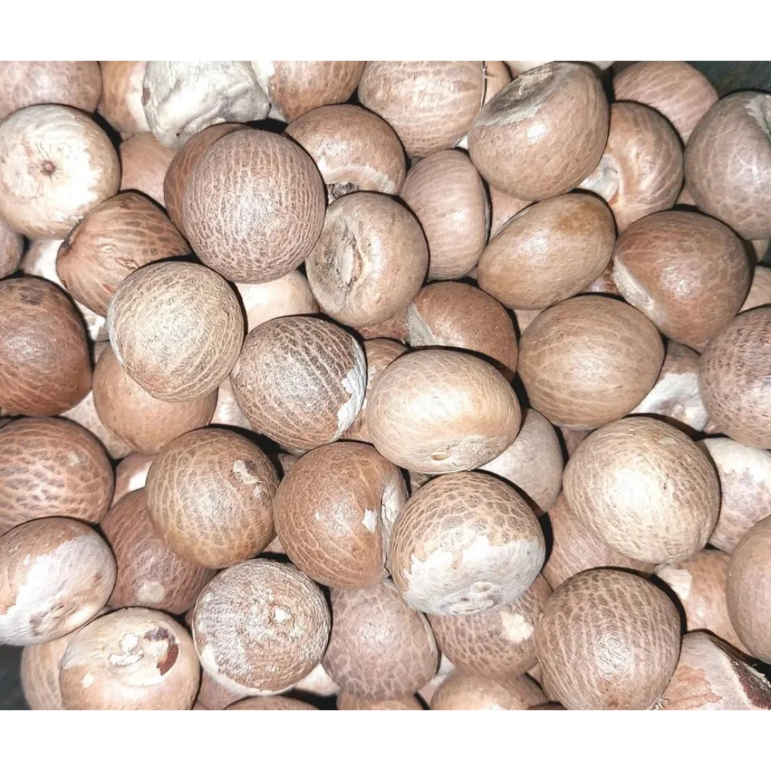 Areca Nut (Supari), 4 Pieces