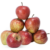 Apple Shimla
