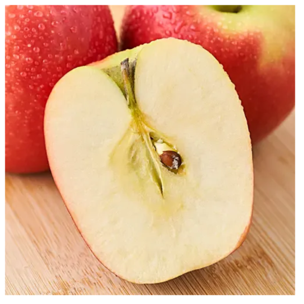 Apple Shimla
