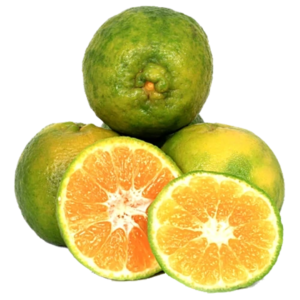 Orange Nagpur