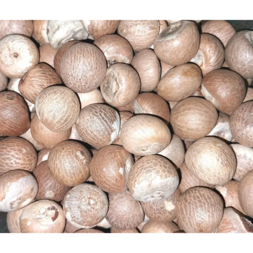 Areca Nut Supari