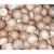 Areca Nut Supari