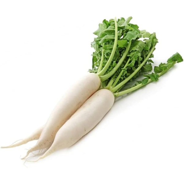 Radish - White