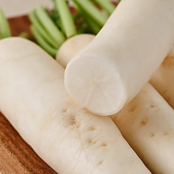 Radish - White