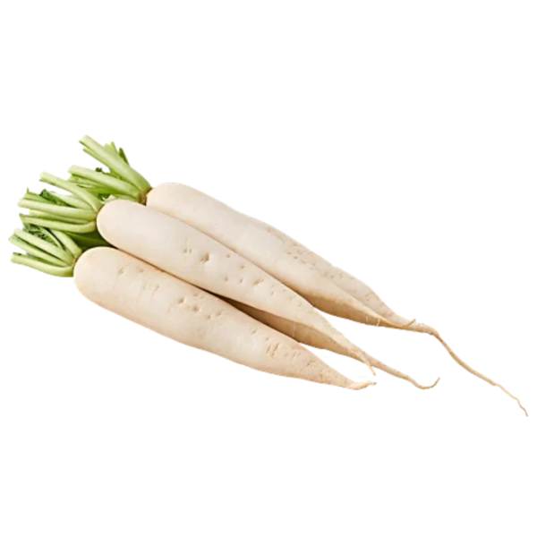 Radish - White