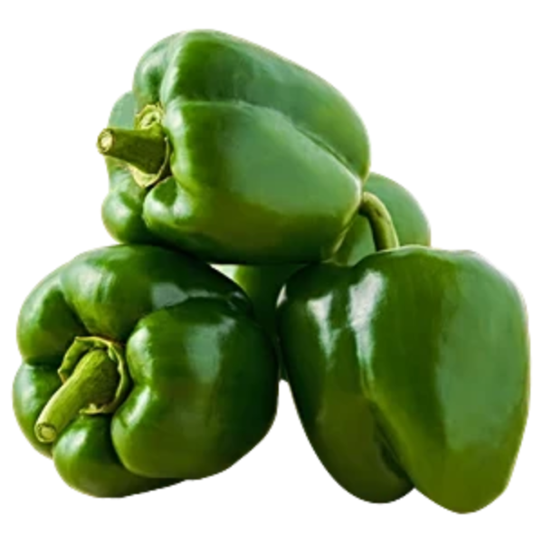 Capsicum