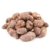 Colocasia