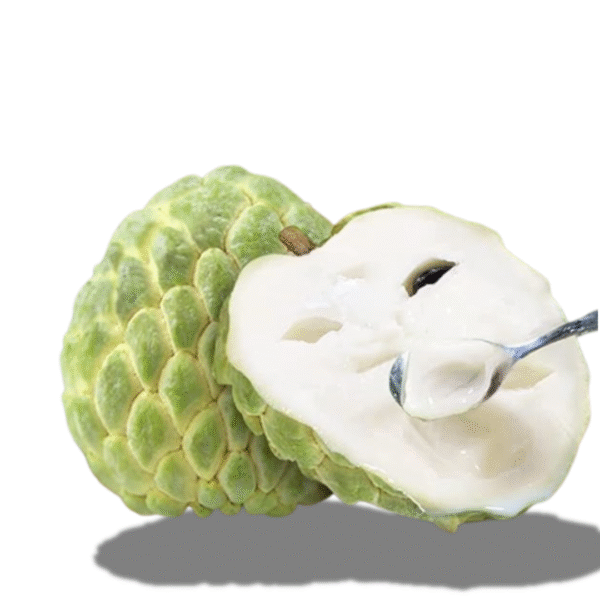 Annona Squamosa Fruit, (ata Phol) 1 pc 200g - 500g