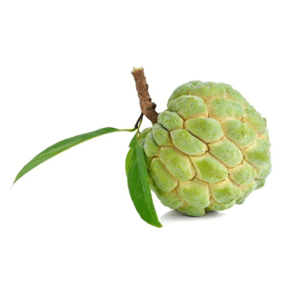 Annona Squamosa Fruit, (ata Phol) 1 pc 200g - 500g