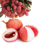 Litchi