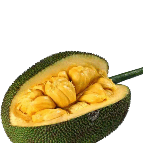 Jackfruit